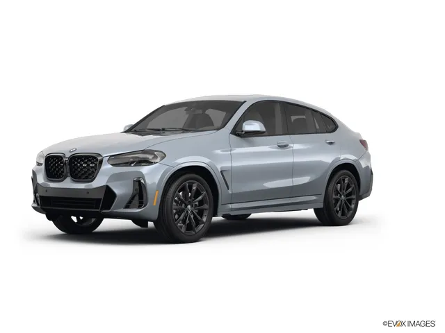 2023 BMW X4 xDrive30i for sale in Indianapolis, IN