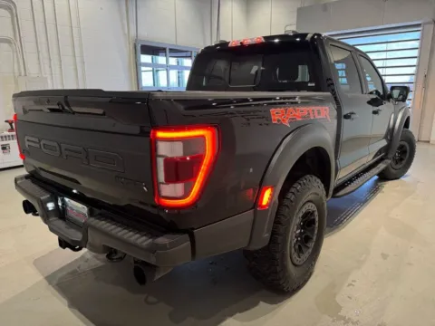 More photos of 2021 Ford F-150 Raptor at Fishers Imports - North West, IN