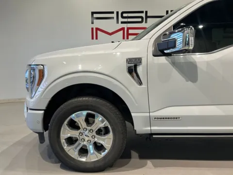 Another view of 2023 Ford F-150 Platinum for sale in Indianapolis, IN at Fishers Imports - North West