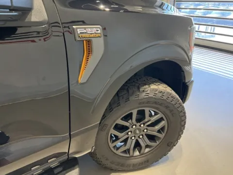 More photos of 2023 Ford F-150 Tremor at Fishers Imports - North West, IN