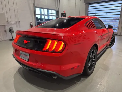 More photos of 2019 Ford Mustang EcoBoost at Fishers Imports - North West, IN