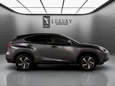 Another view of 2019 Lexus NX 300 for sale in Hillside, NJ at Luxury Motor Cars