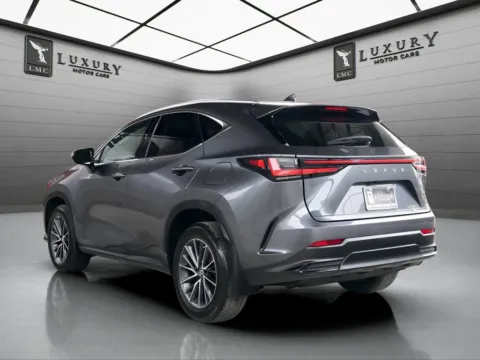 More photos of 2022 Lexus NX 350 at Luxury Motor Cars, NJ