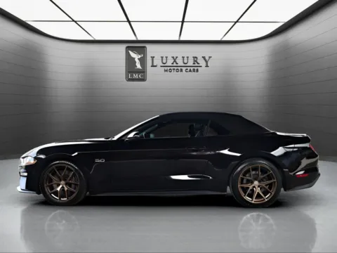 More photos of 2022 Ford Mustang GT Premium at Luxury Motor Cars, NJ