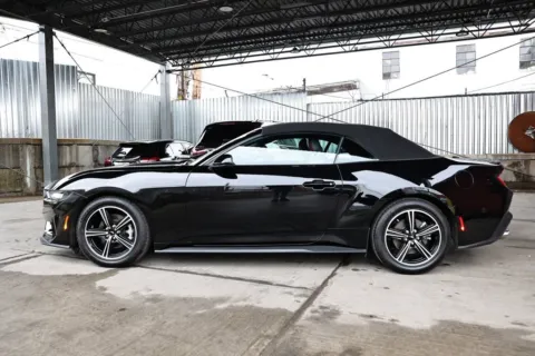 More photos of 2024 Ford Mustang EcoBoost Premium at Luxury Motor Cars, NJ