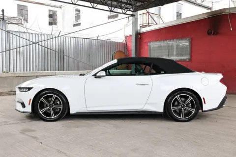 More photos of 2024 Ford Mustang EcoBoost Premium at Luxury Motor Cars, NJ
