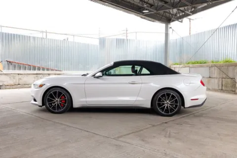 More photos of 2017 Ford Mustang EcoBoost Premium at Luxury Motor Cars, NJ