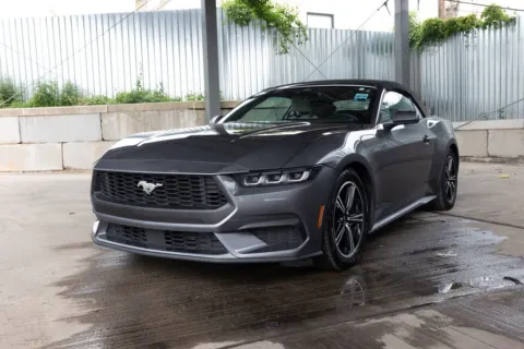 More photos of 2024 Ford Mustang EcoBoost Premium at Luxury Motor Cars, NJ