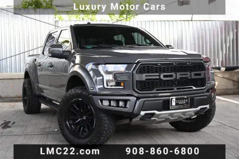 Gray 2018 Ford F-150 Raptor for sale in Hillside, NJ