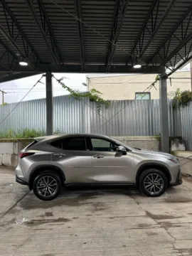 Another view of 2022 Lexus NX 350h for sale in Hillside, NJ at Luxury Motor Cars