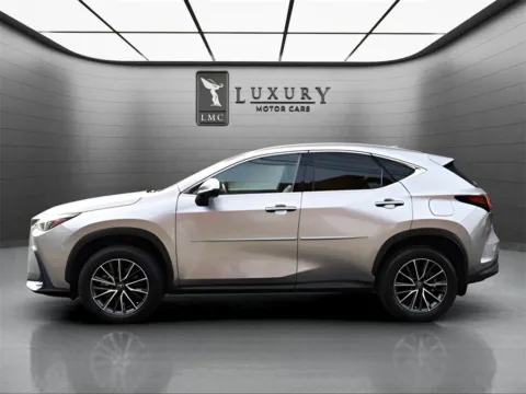 More photos of 2022 Lexus NX 350h at Luxury Motor Cars, NJ