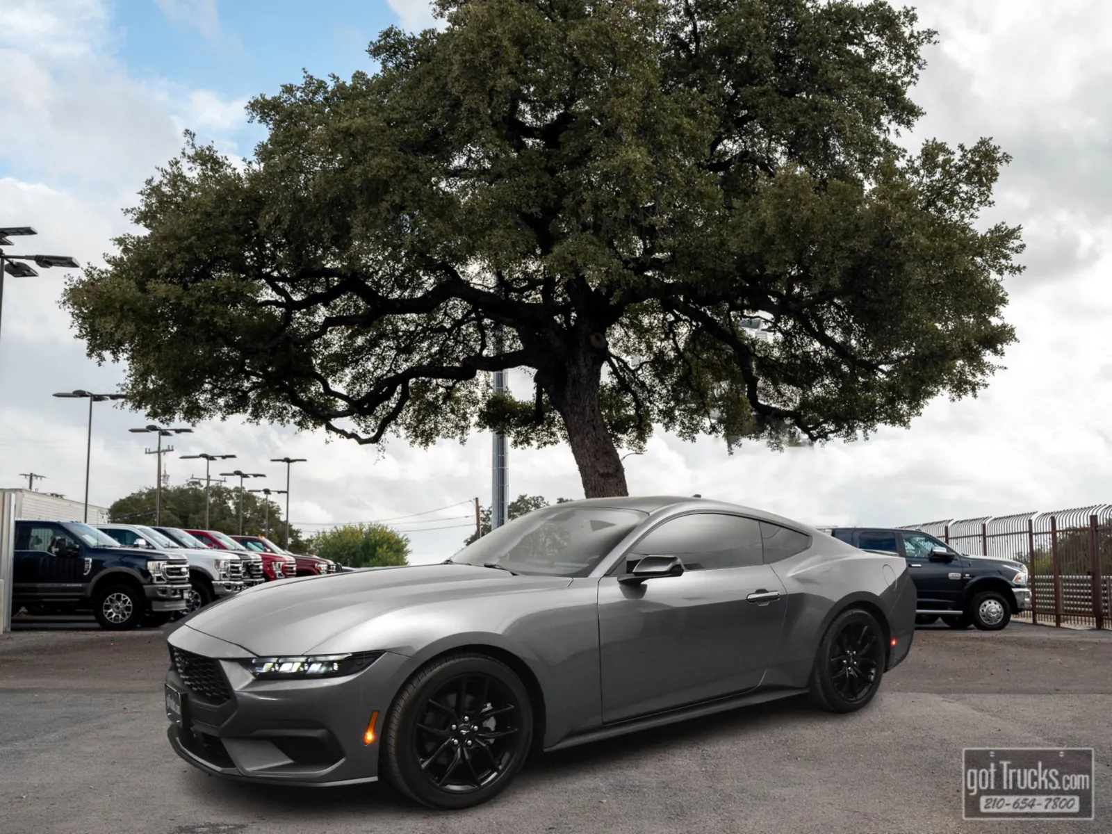Gray 2024 Ford Mustang EcoBoost for sale in San Antonio, TX