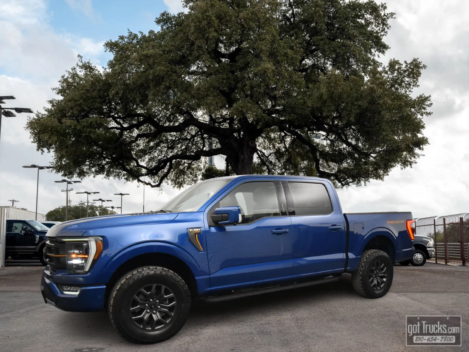 2022 Ford F-150 Tremor's photo