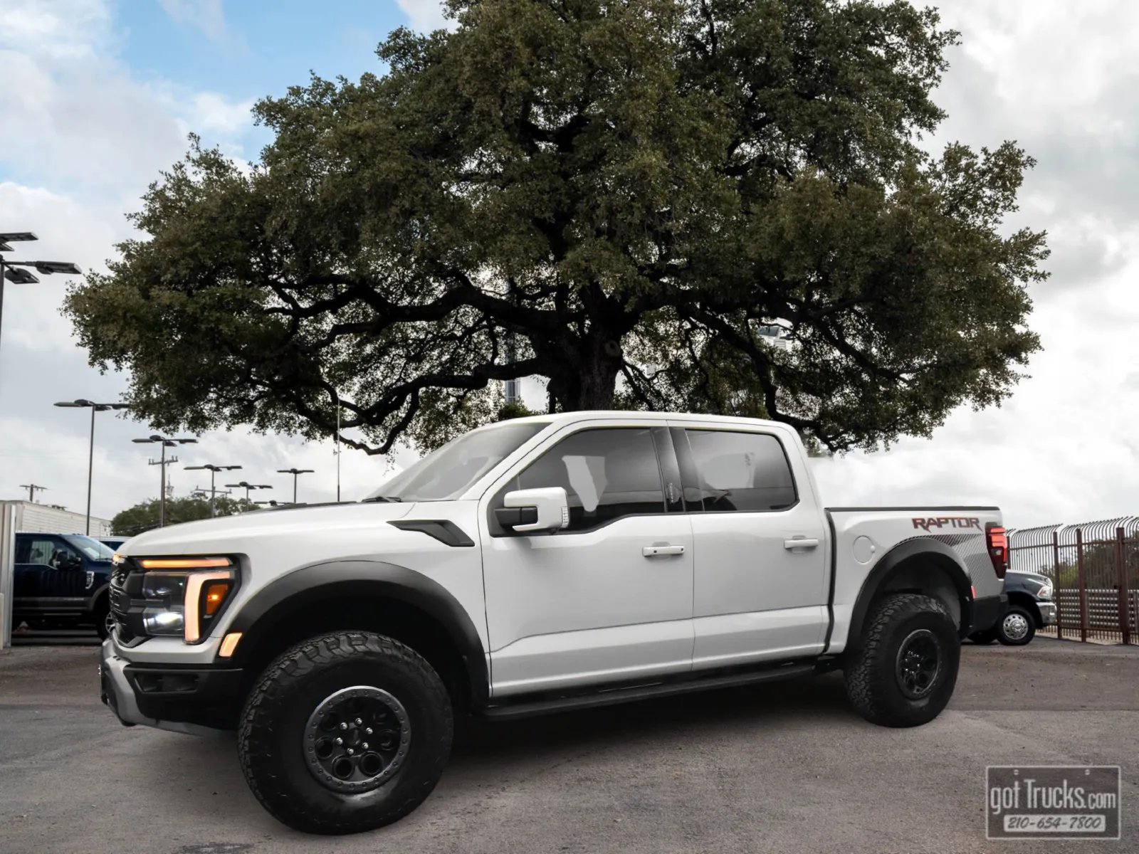 Gray 2024 Ford F-150 Raptor for sale in San Antonio, TX