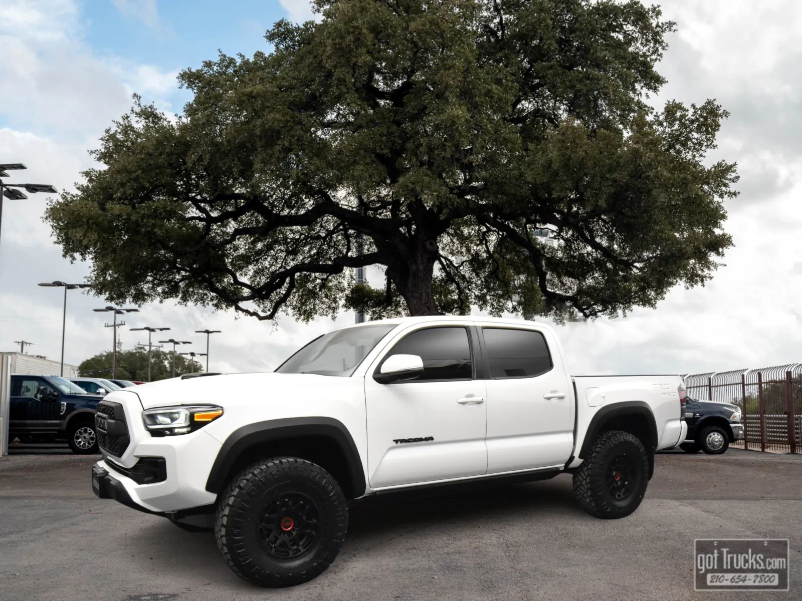 2023 Toyota Tacoma TRD Pro's photo