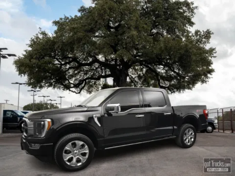 Black 2023 Ford F-150 Platinum for sale in San Antonio, TX