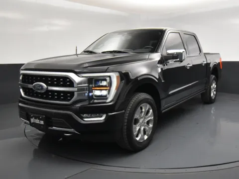 Photos of 2023 Ford F-150 Platinum for sale in San Antonio, TX at got Trucks?