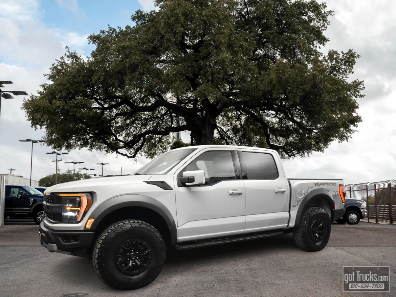 Gray 2023 Ford F-150 Raptor for sale in San Antonio, TX