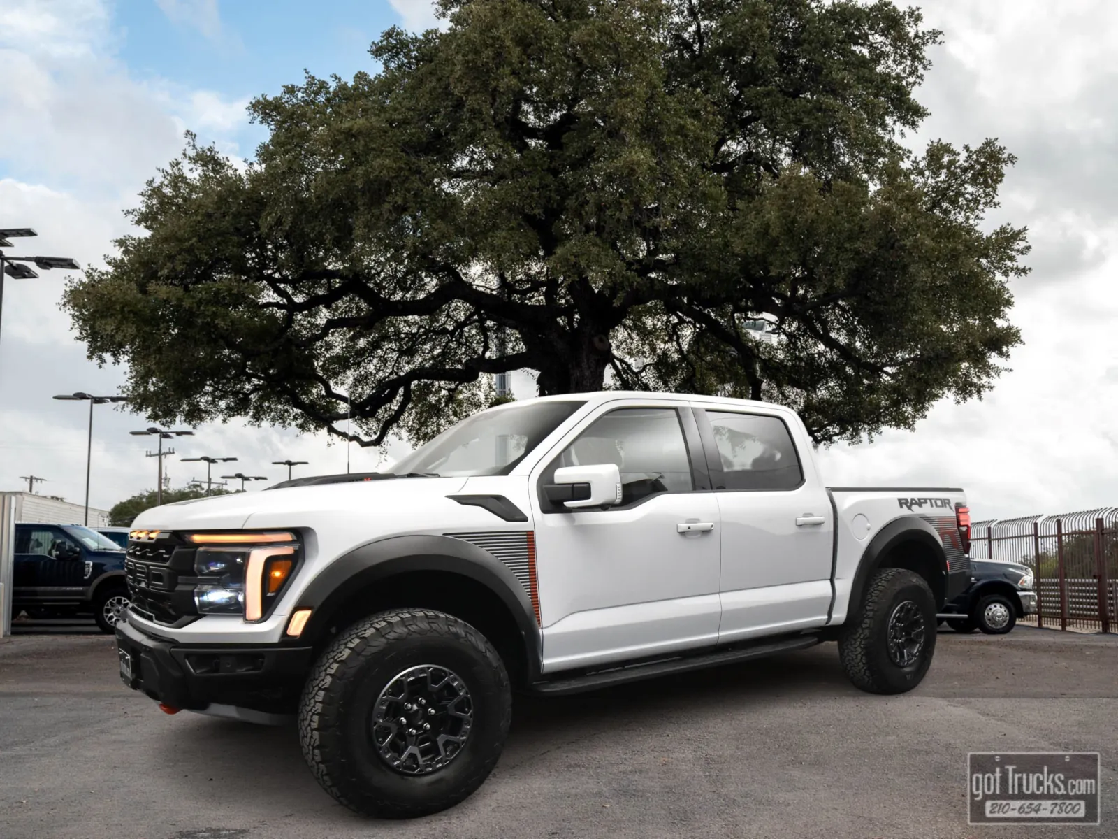 White 2025 Ford F-150 Raptor for sale in San Antonio, TX