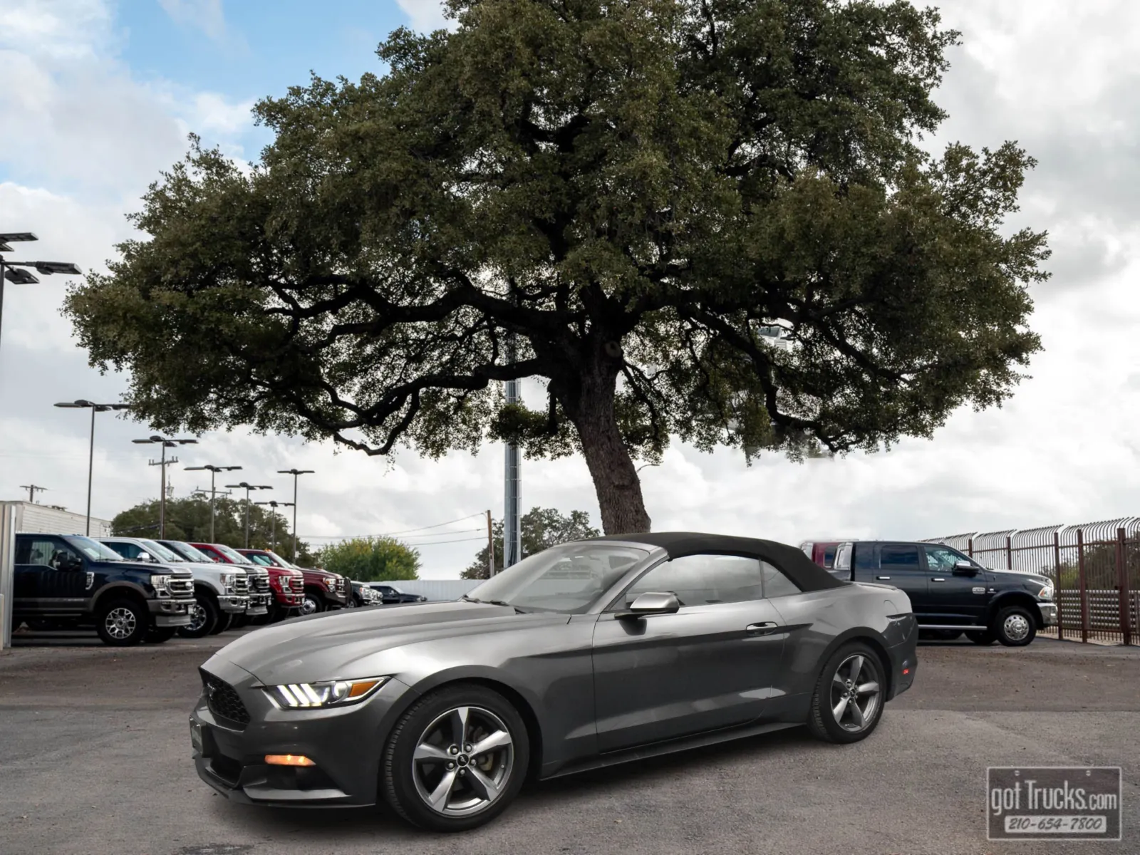 Gray 2016 Ford Mustang V6 for sale in San Antonio, TX