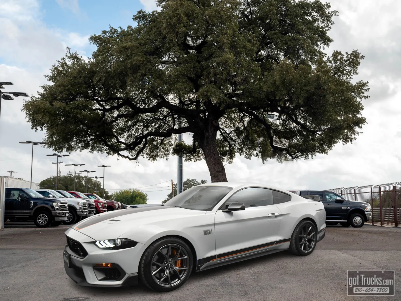 Gray 2021 Ford Mustang Mach 1 for sale in San Antonio, TX