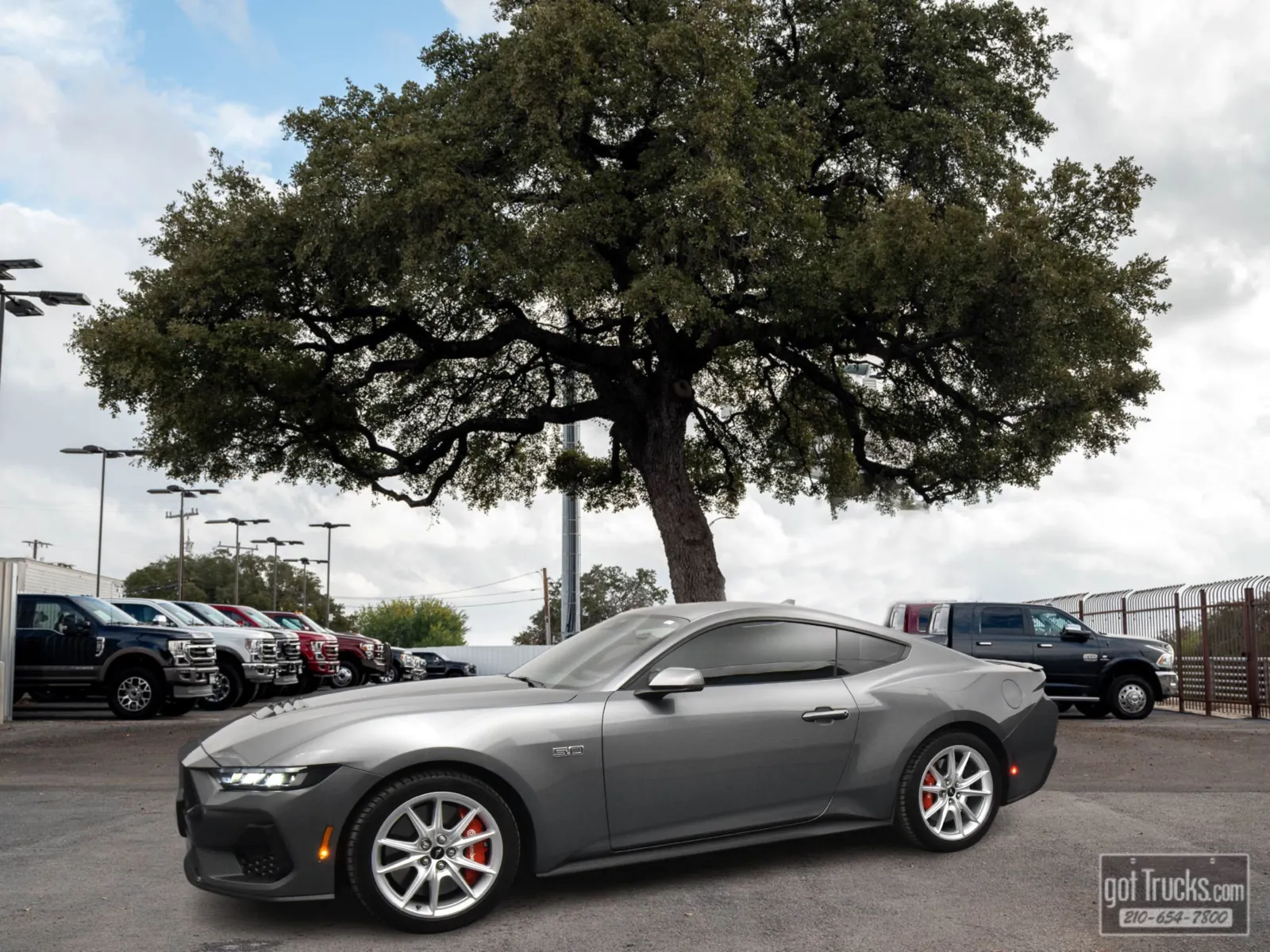 Gray 2024 Ford Mustang GT Premium for sale in San Antonio, TX
