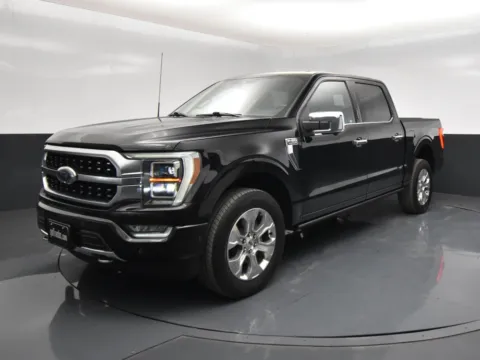 Photos of 2023 Ford F-150 Platinum for sale in San Antonio, TX at got Trucks?