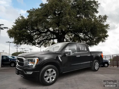 Black 2023 Ford F-150 Platinum for sale in San Antonio, TX