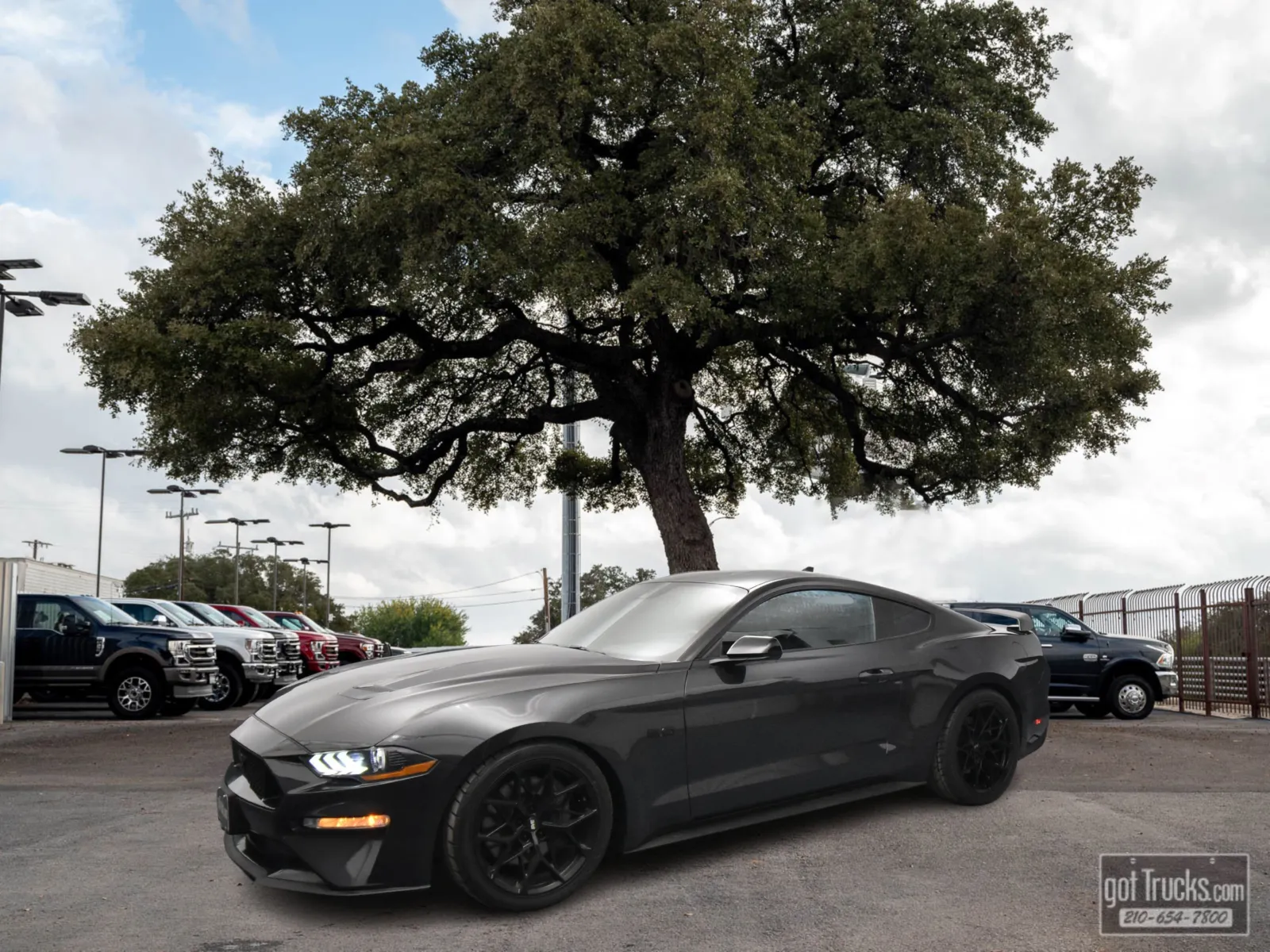 Gray 2022 Ford Mustang GT for sale in San Antonio, TX