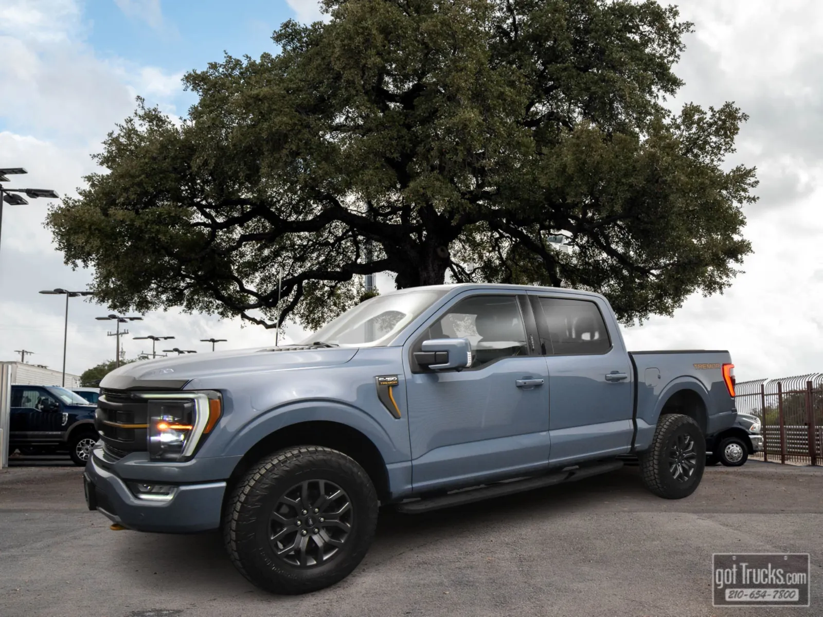 Gray 2023 Ford F-150 Tremor for sale in San Antonio, TX