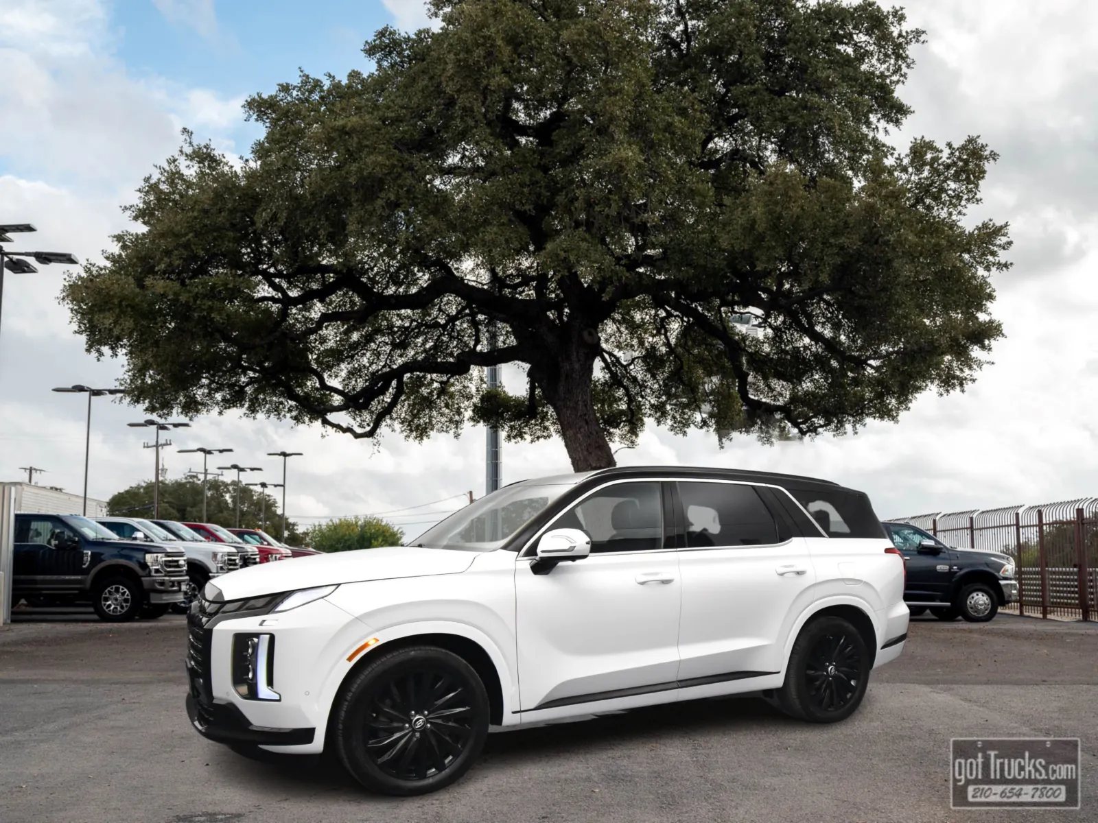 White 2025 Hyundai Palisade Calligraphy Night Edition for sale in San Antonio, TX