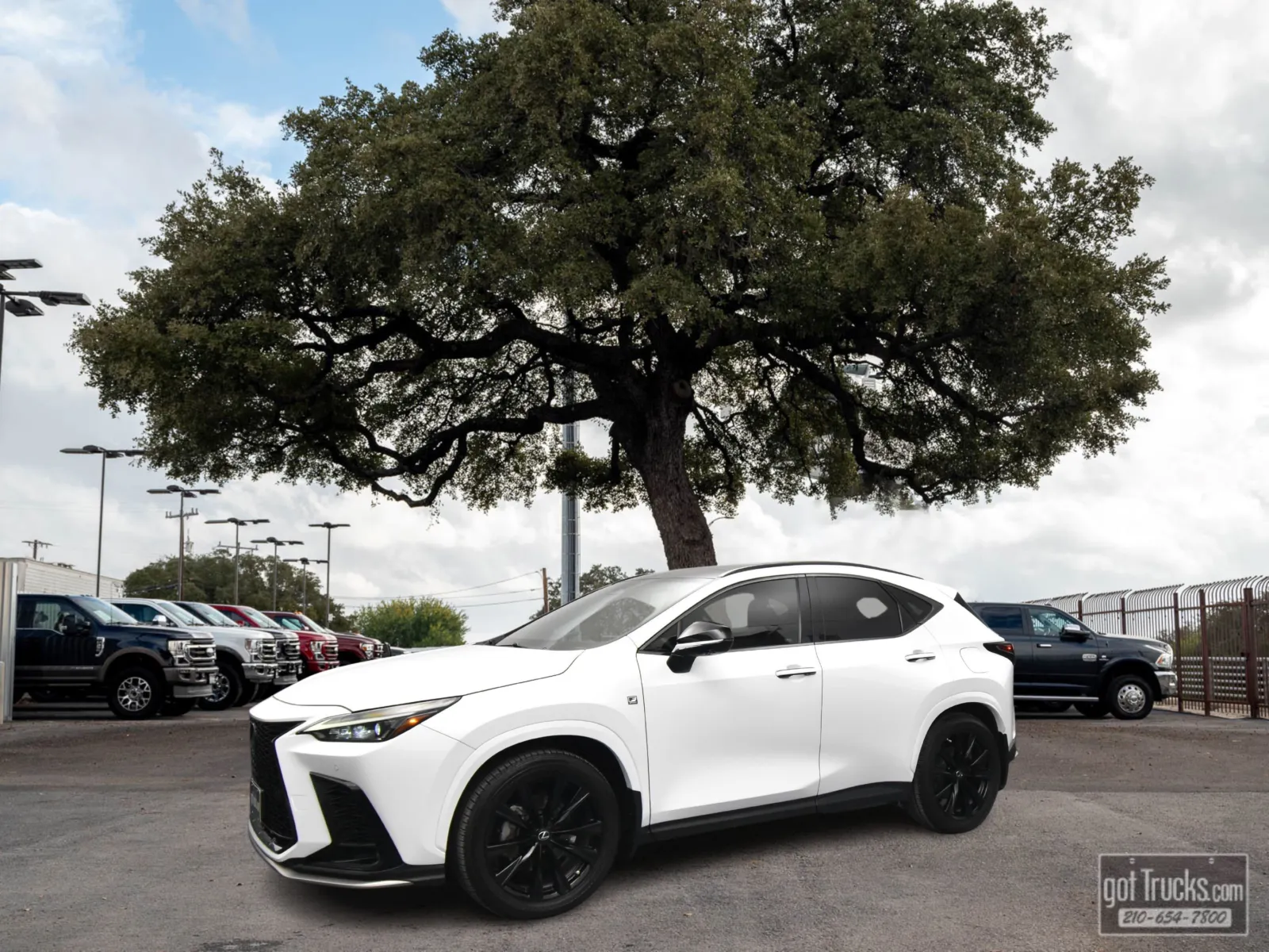 2022 Lexus NX 350
