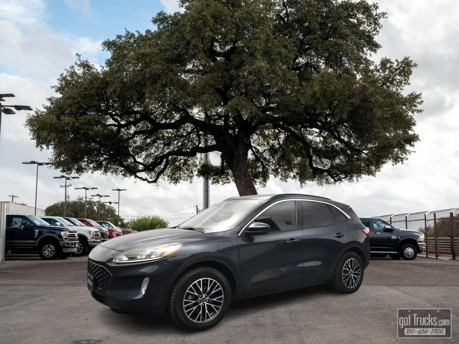 Blue 2022 Ford Escape SEL Plug-In Hybrid for sale in San Antonio, TX