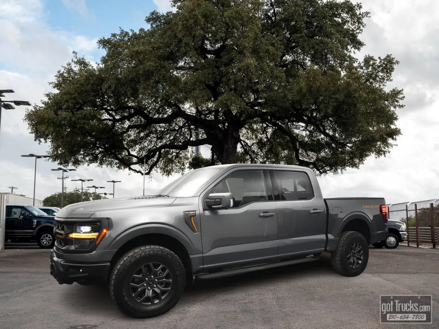 Gray 2025 Ford F-150 Tremor for sale in San Antonio, TX