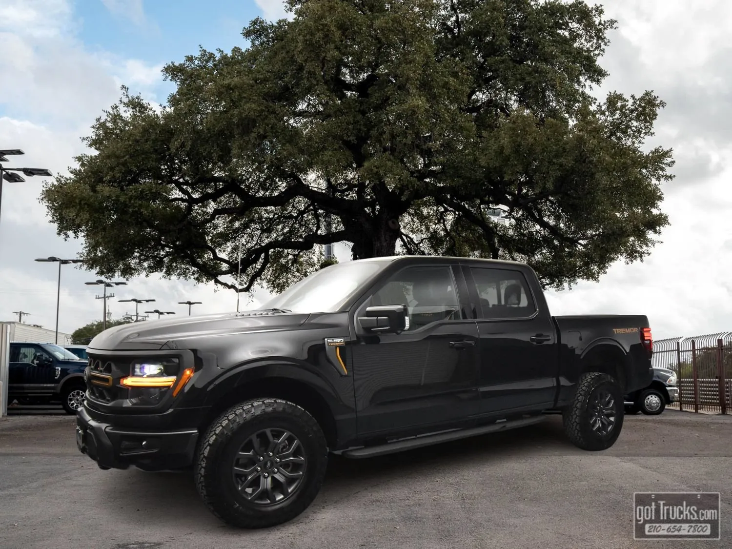 Black 2025 Ford F-150 Tremor for sale in San Antonio, TX