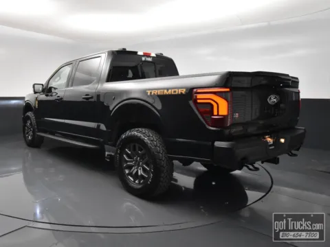 More photos of 2025 Ford F-150 Tremor at got Trucks?, TX