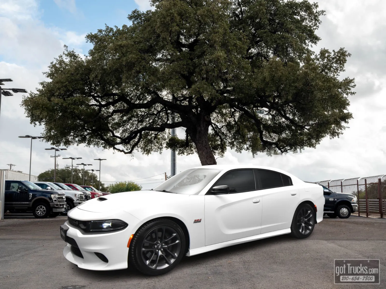 White 2023 Dodge Charger Scat Pack for sale in San Antonio, TX