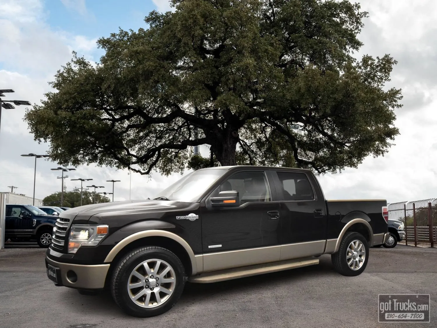 Brown 2013 Ford F-150 King Ranch for sale in San Antonio, TX