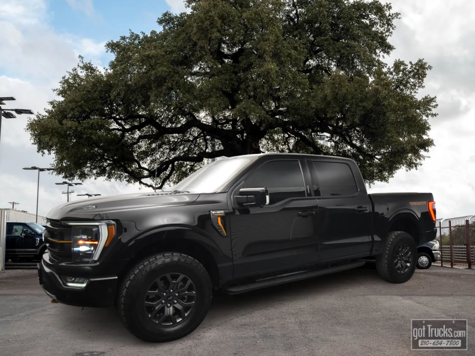 Black 2022 Ford F-150 Tremor for sale in San Antonio, TX