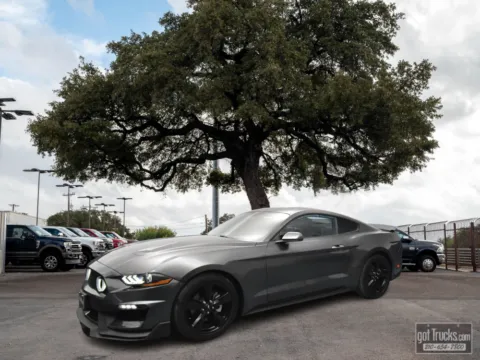 Gray 2019 Ford Mustang EcoBoost for sale in San Antonio, TX