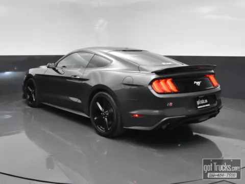 More photos of 2019 Ford Mustang EcoBoost at got Trucks?, TX