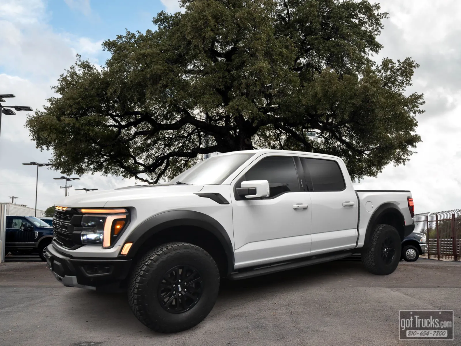 Gray 2024 Ford F-150 Raptor for sale in San Antonio, TX