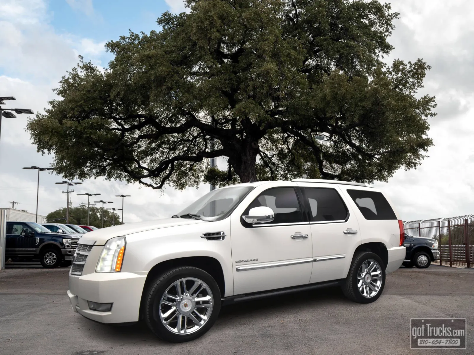 White 2014 Cadillac Escalade Platinum for sale in San Antonio, TX