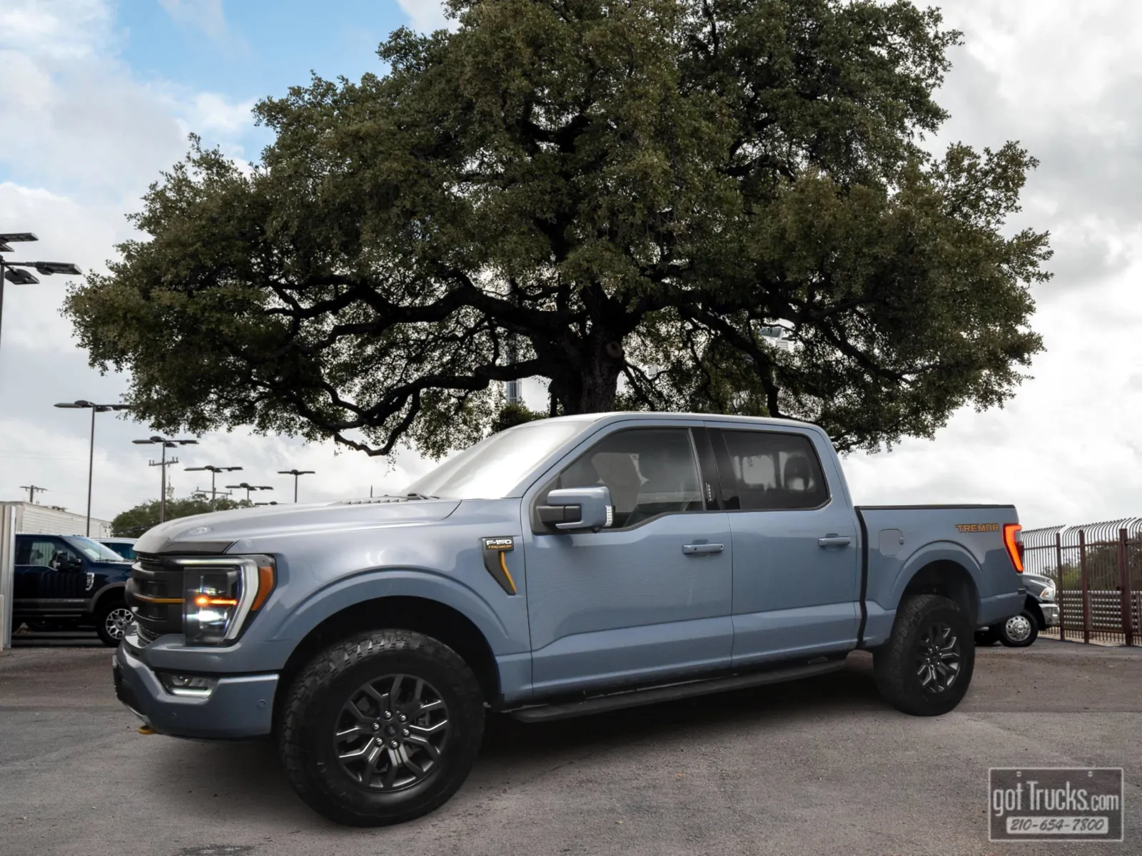 Gray 2023 Ford F-150 Tremor for sale in San Antonio, TX