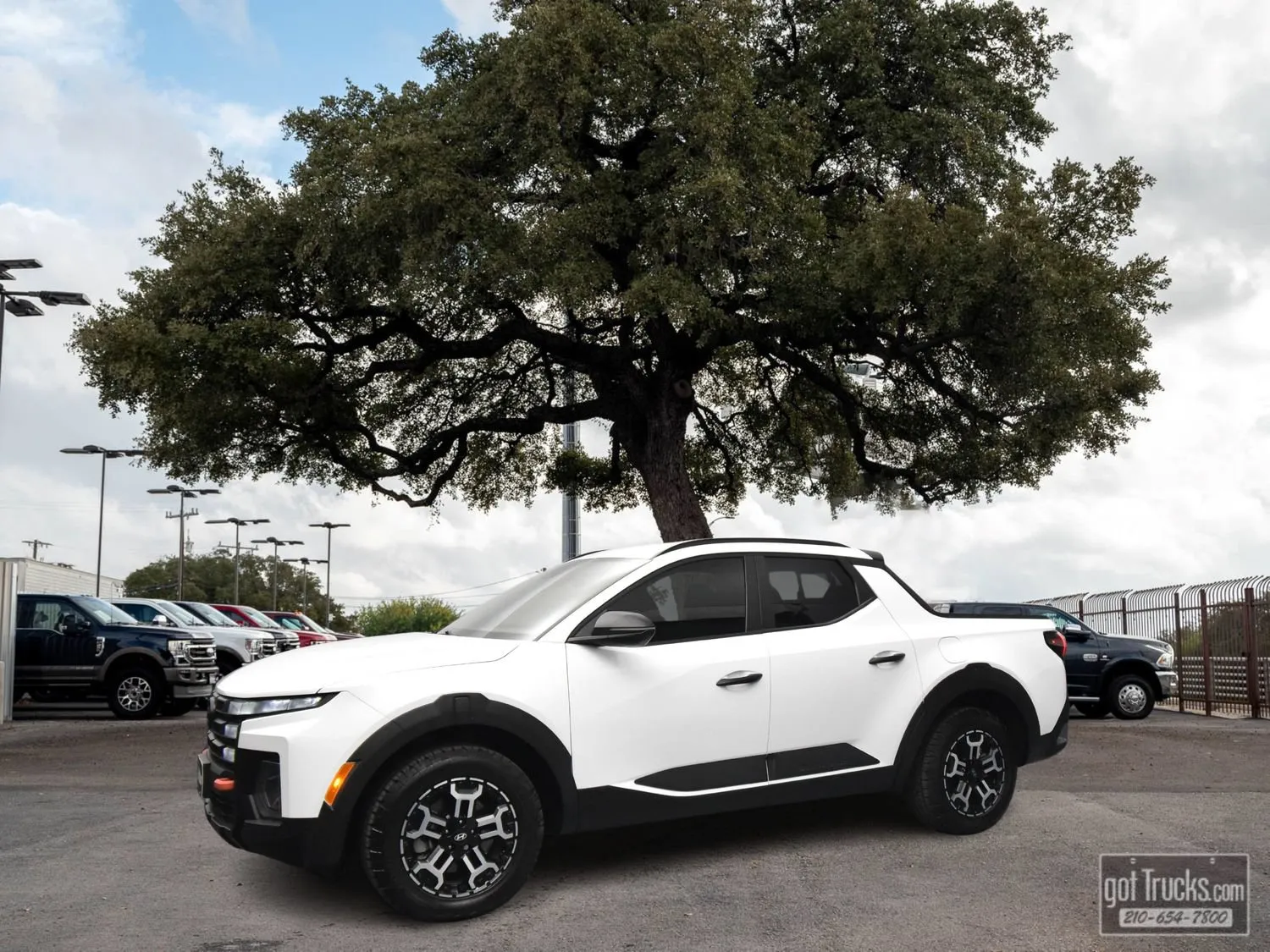 White 2025 Hyundai Santa Cruz XRT for sale in San Antonio, TX