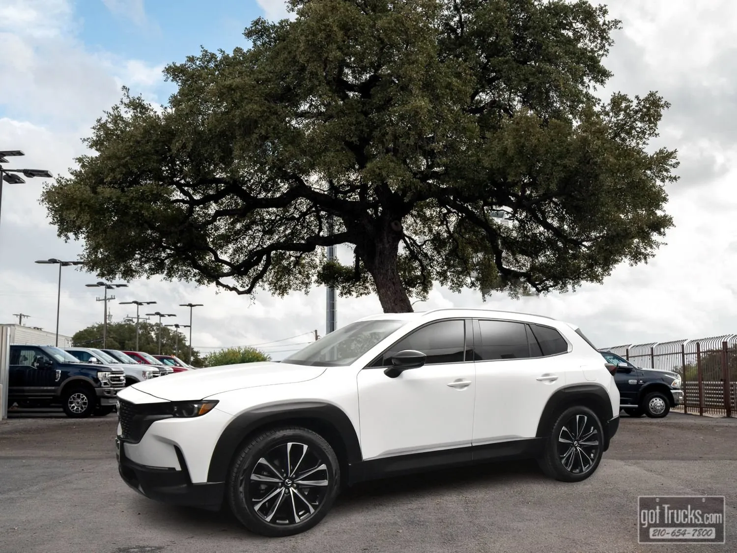 Gray 2023 Mazda CX-50 2.5 S Premium Plus Package for sale in San Antonio, TX