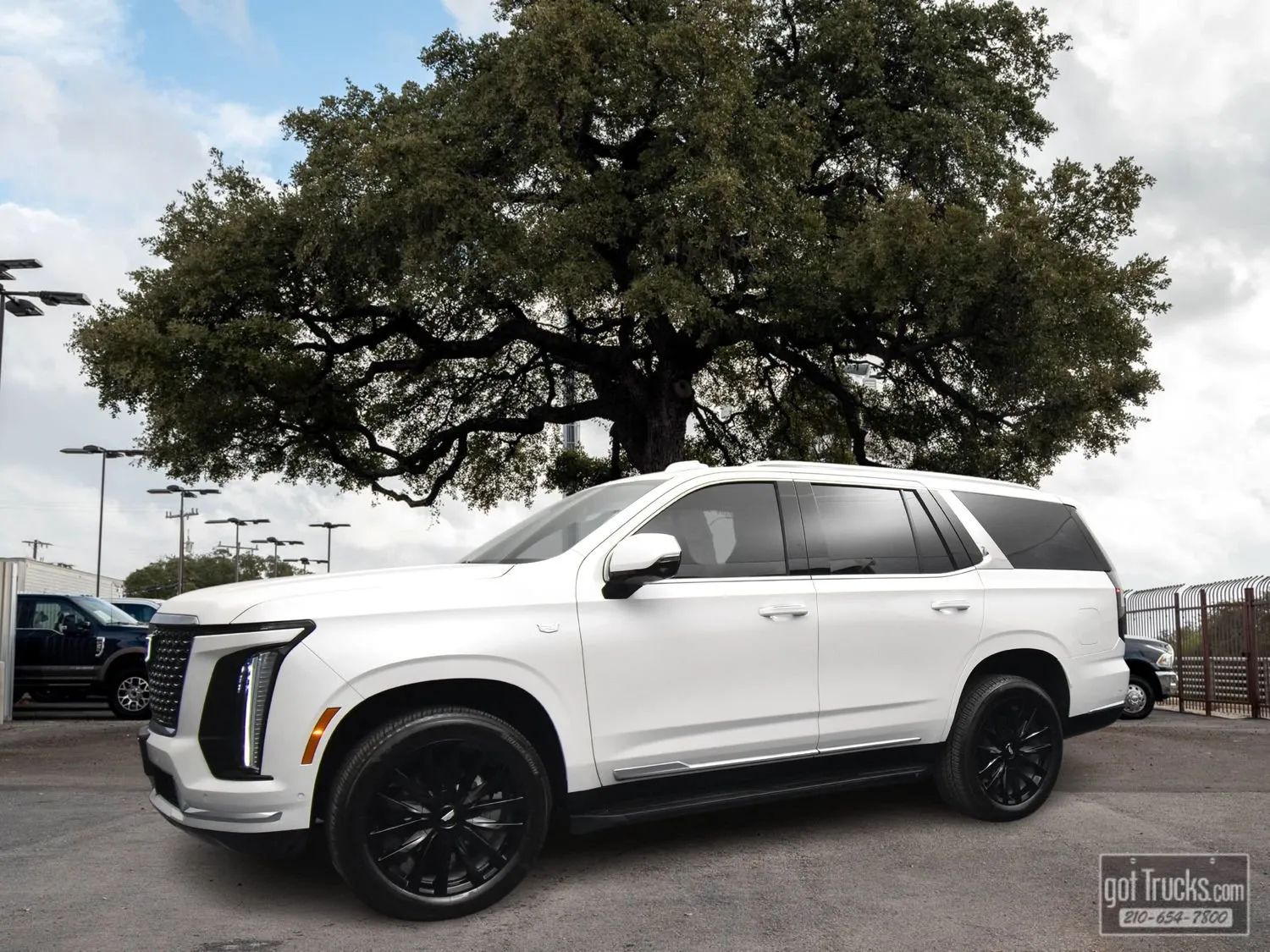 White 2025 Cadillac Escalade RWD Luxury for sale in San Antonio, TX