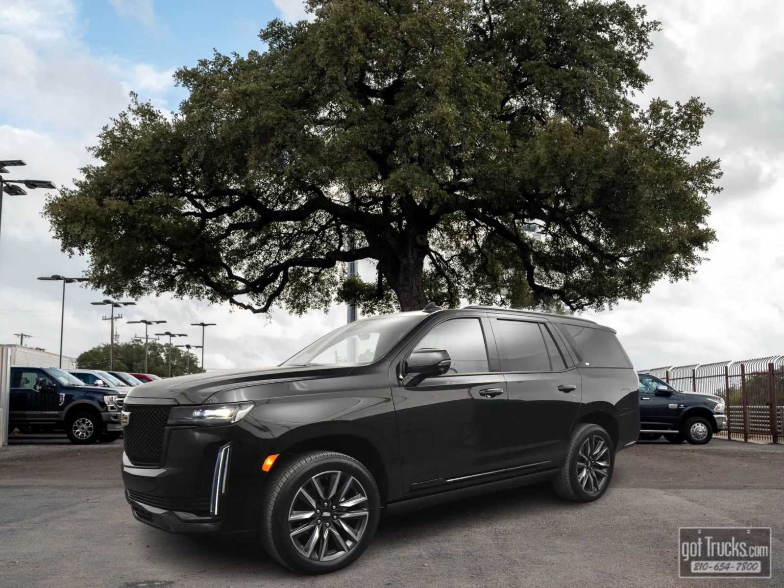 Black 2024 Cadillac Escalade 4WD Sport Platinum for sale in San Antonio, TX