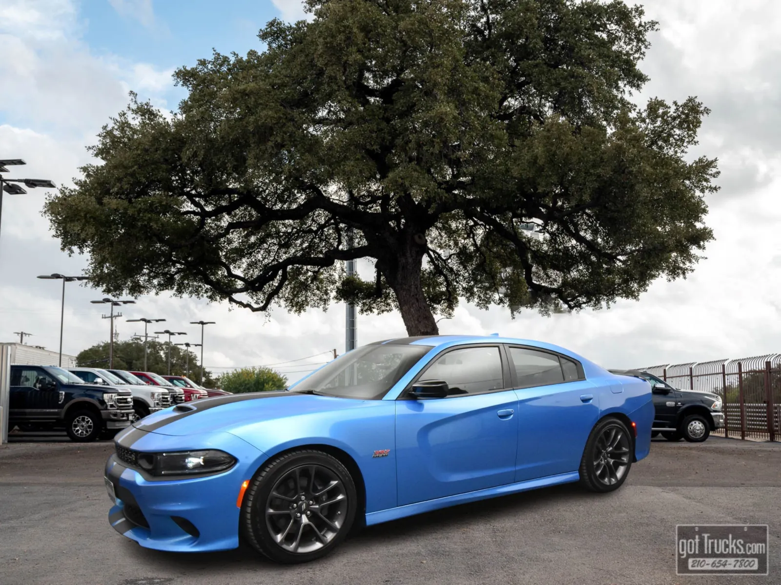 Blue 2023 Dodge Charger Scat Pack for sale in San Antonio, TX