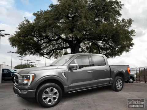 Gray 2021 Ford F-150 Platinum for sale in San Antonio, TX